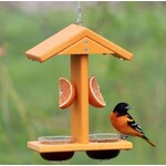 Double Fruit and Jelly Oriole Feeder