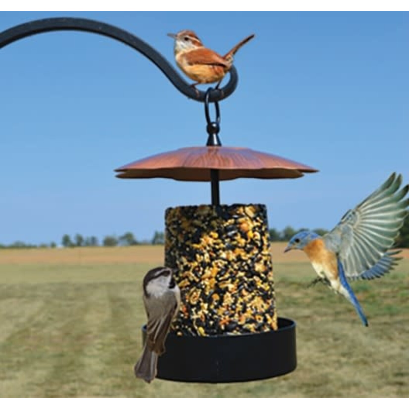 Copper Cylinder Log Seed Feeder