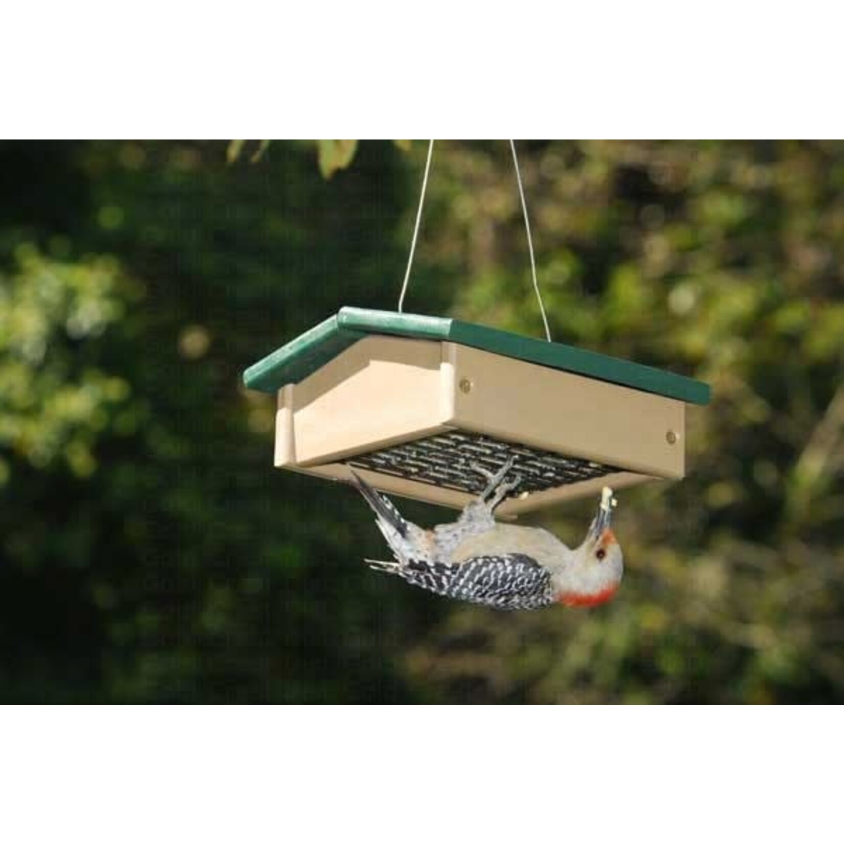 Upside Down Suet or Seed Cake Feeder - Hunter Green Driftwood