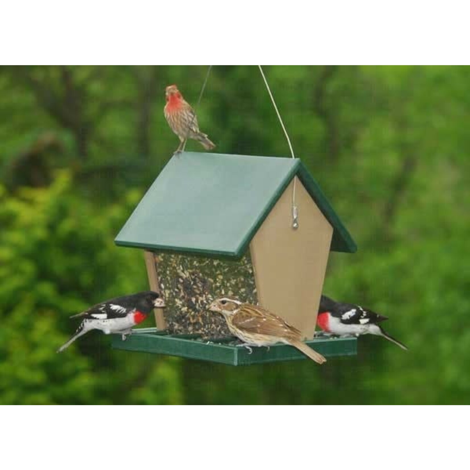 Recycled Plastic Hopper Feeder 2.5 Quarts Hunter Driftwood