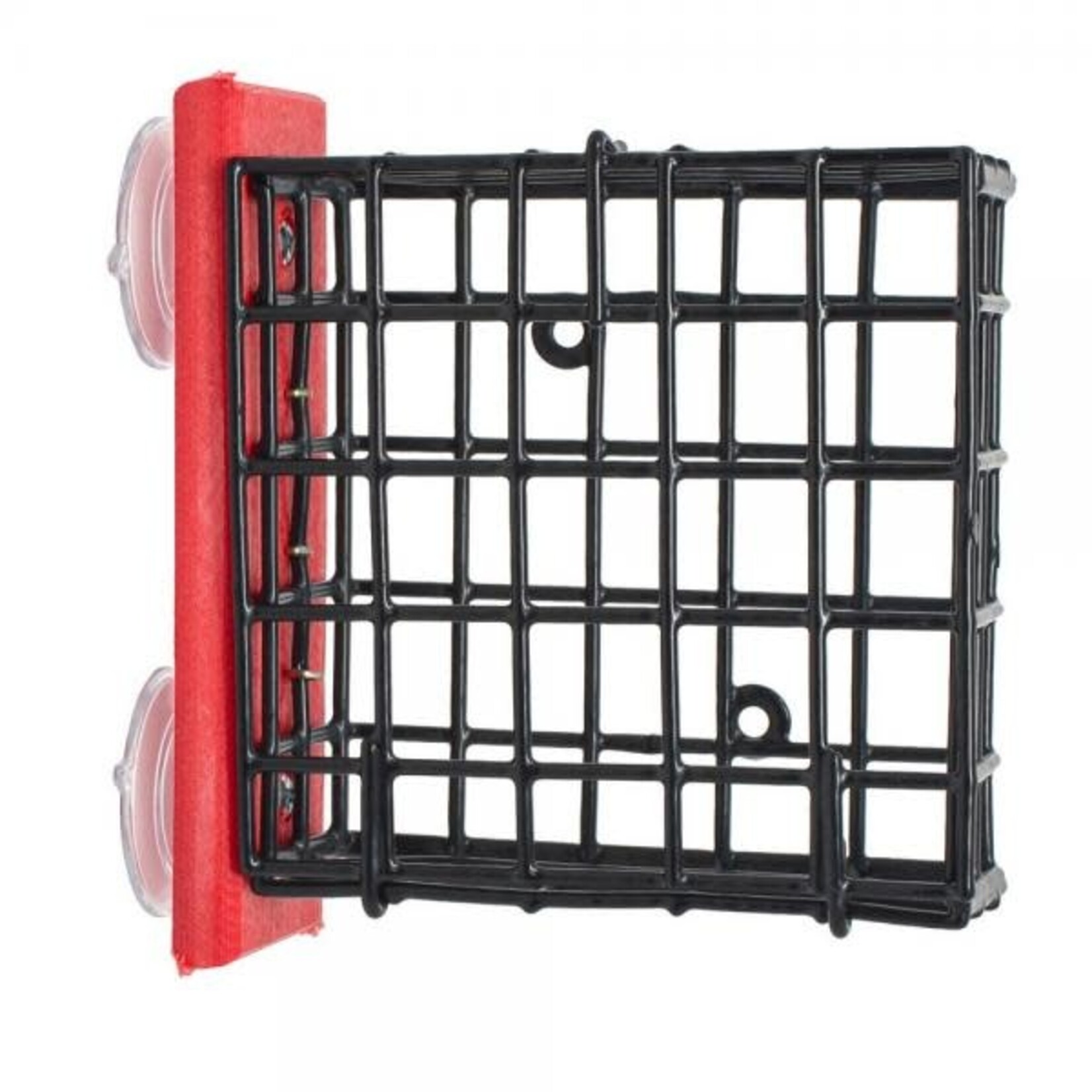 Red Suet Window Feeder