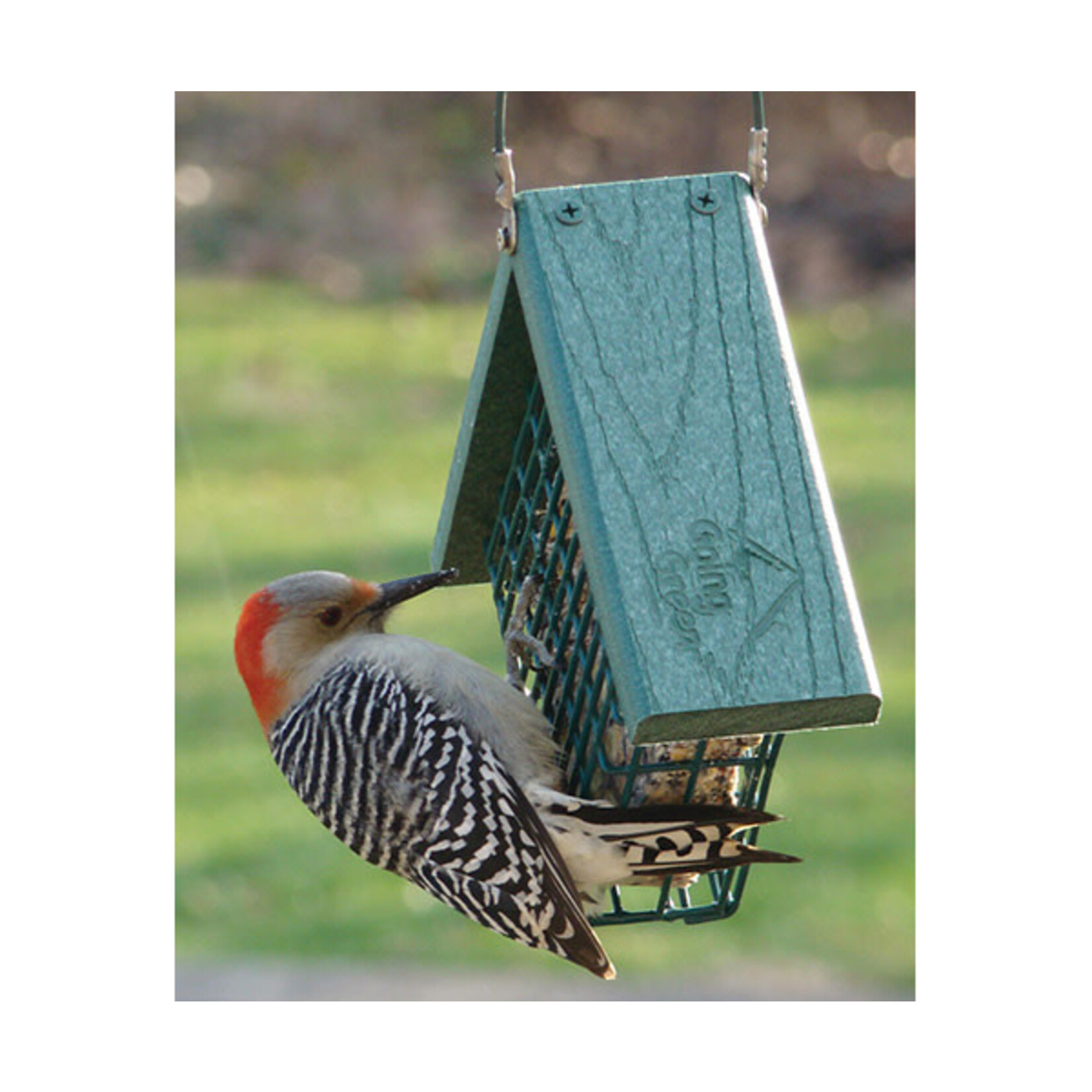 Suet or Seed Cake Feeder - Going Green Recycled Plastic