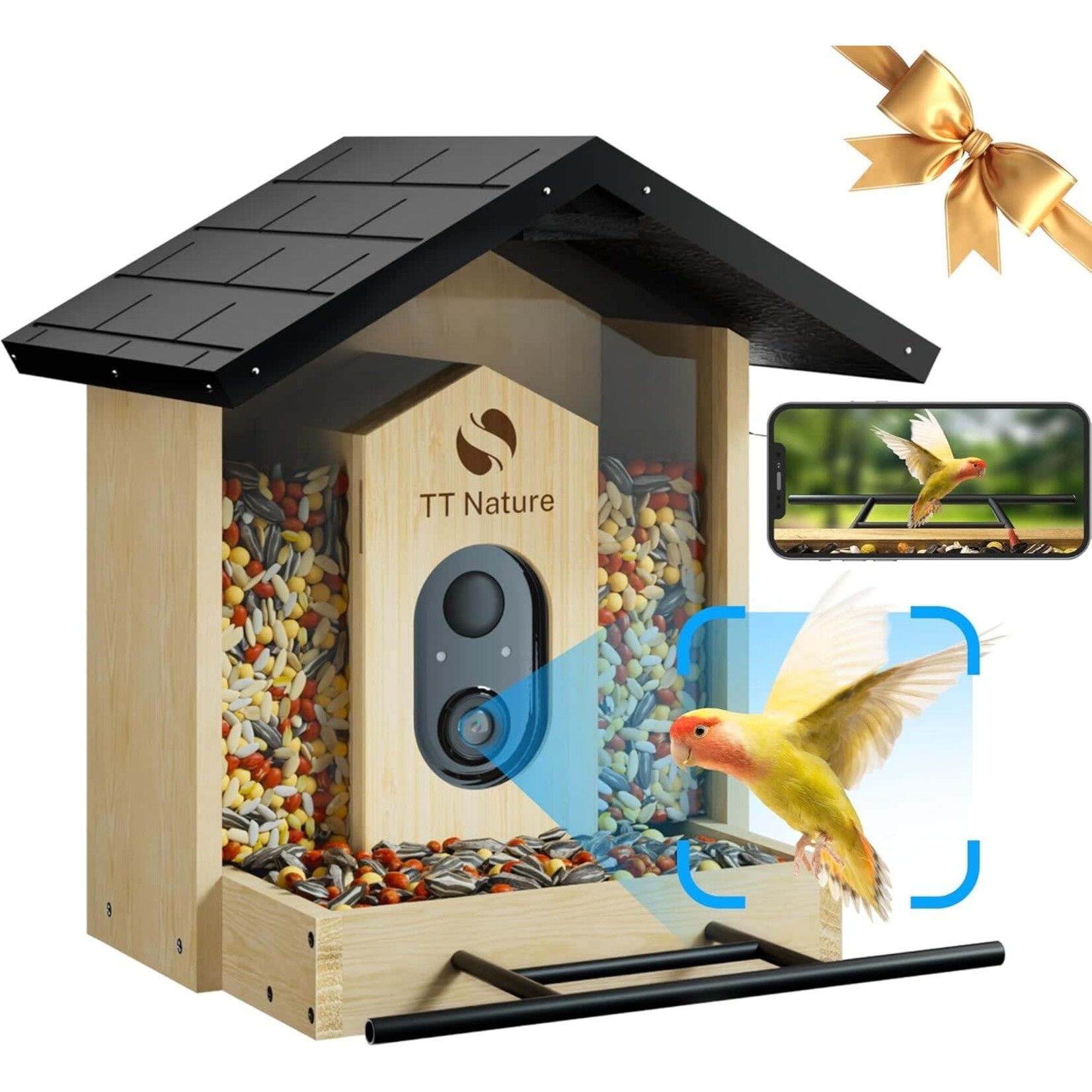TT Nature Bird Feeder with Camera  (Iron Roof)