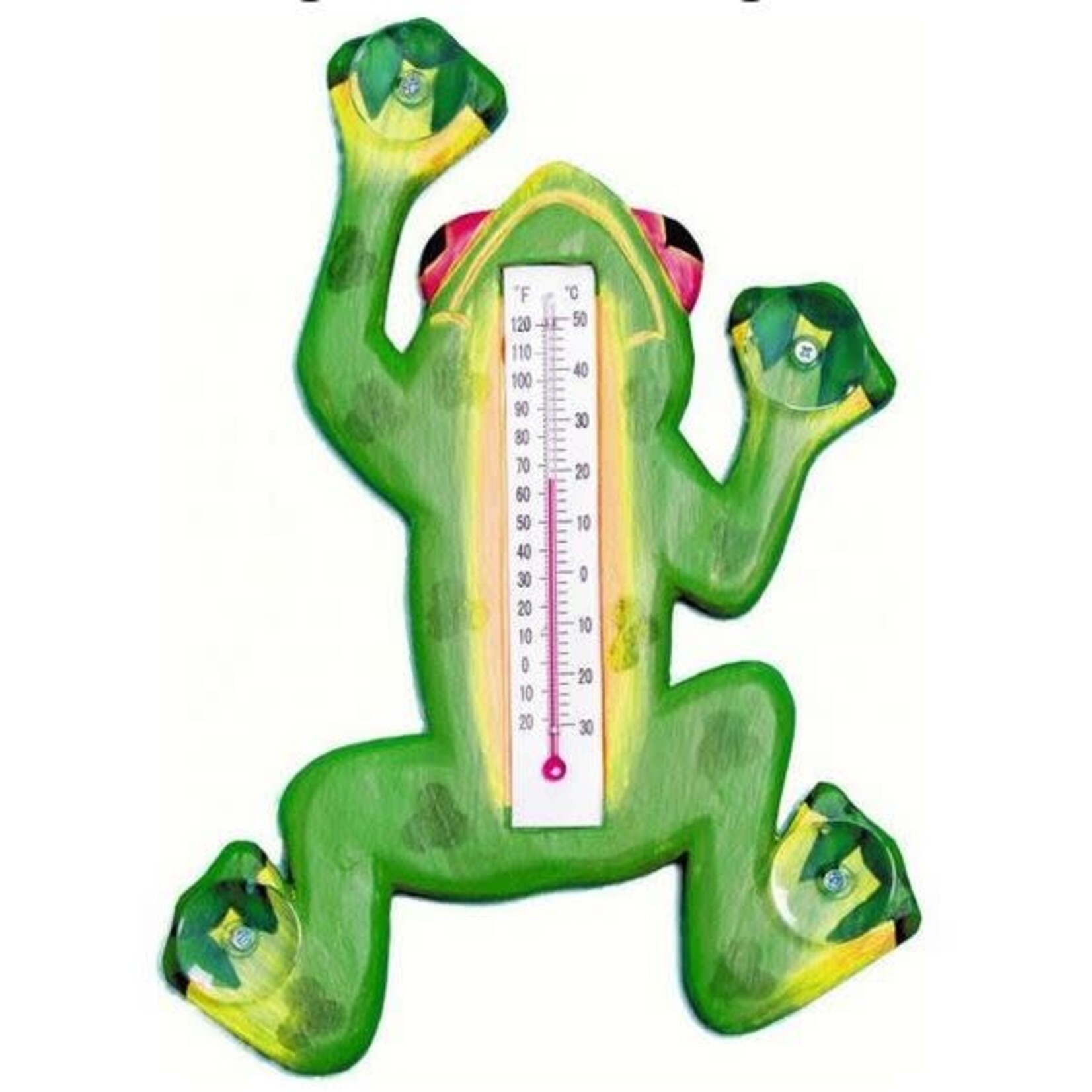 Window Thermometer Green Frog