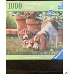 #11953 Curious Beagles 1000 pc puzzle Dragon Cache Used Game