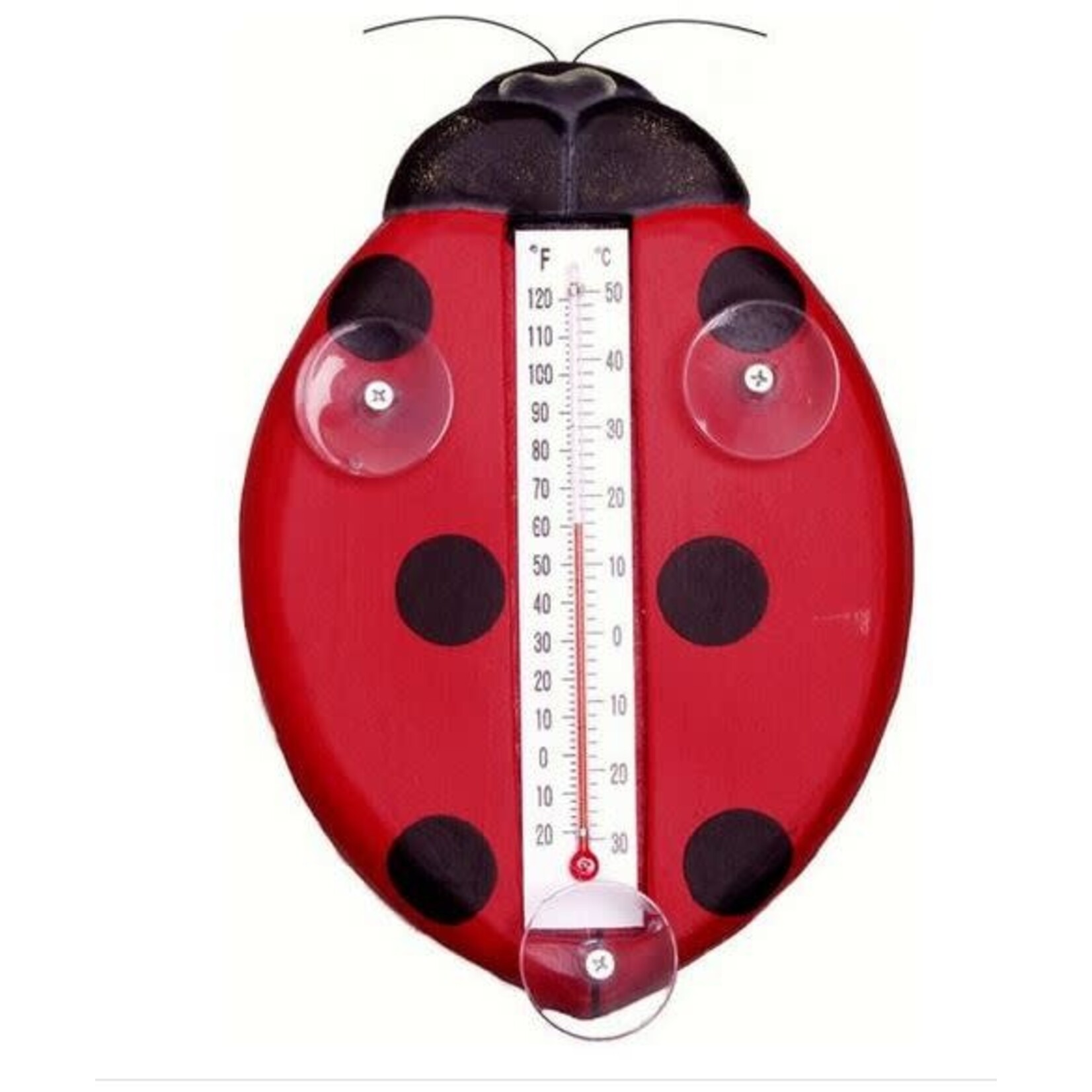Window Thermometer Lady Bug