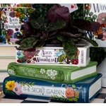 Vase - Stacked Books Planter - Alice-Wind in the Willows-The Secret