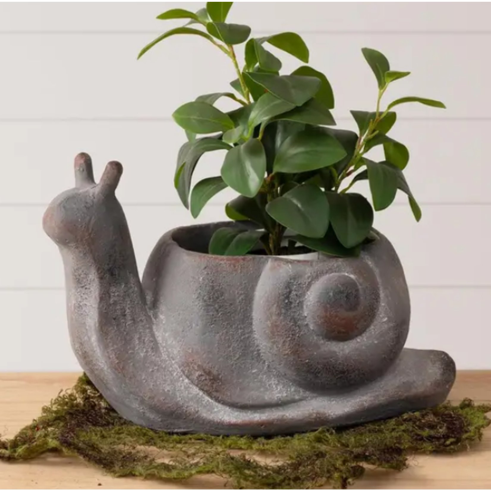 Woodland Snail Décor - Rustic Display Accent