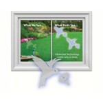 Window  Strike Solutions
