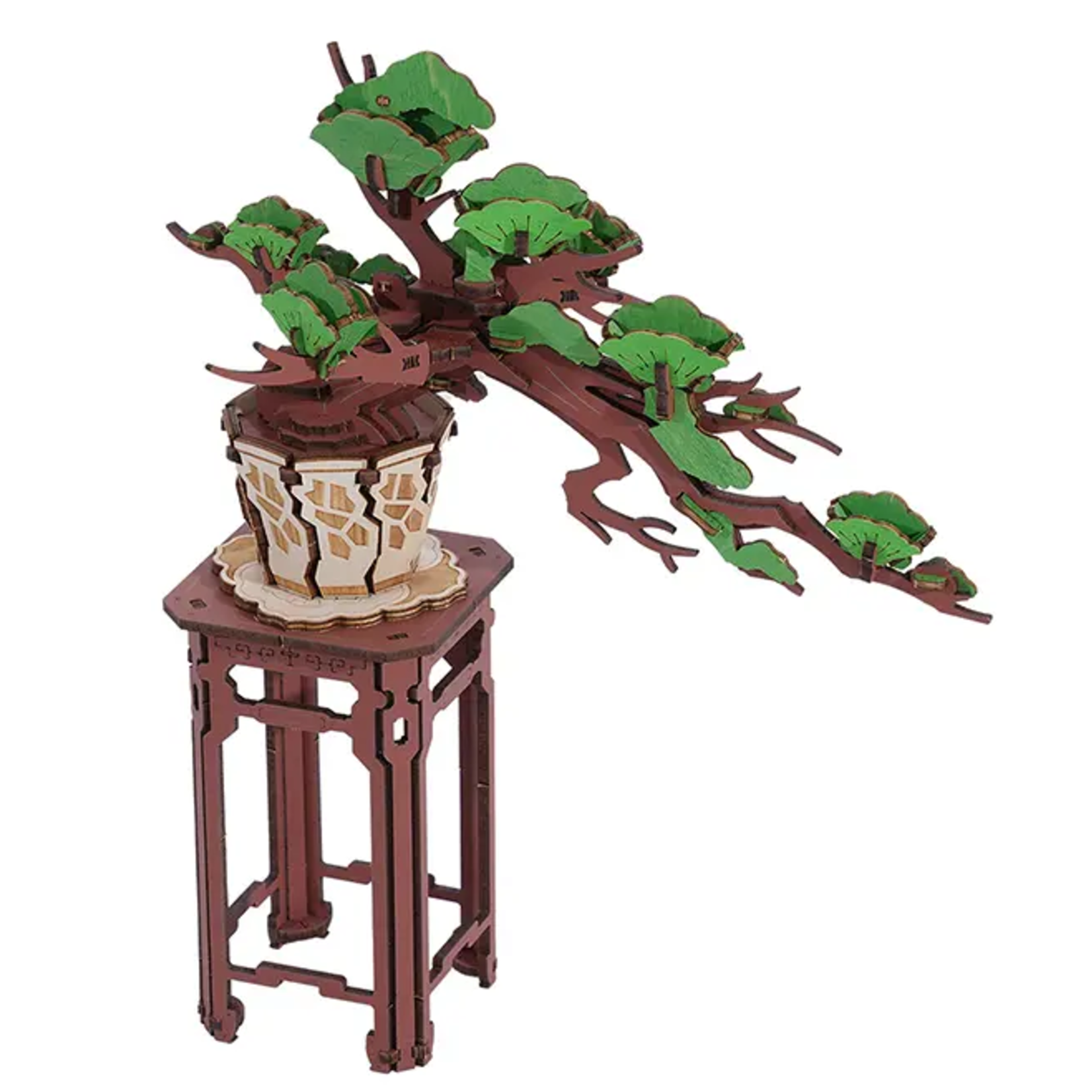 3D Puzzle Kit - Evergreen Pine Bonsai