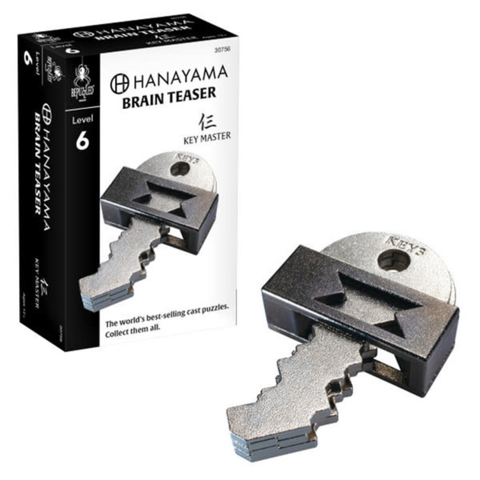 Brain Teaser Puzzle: Key Master Level 6 Hanayama