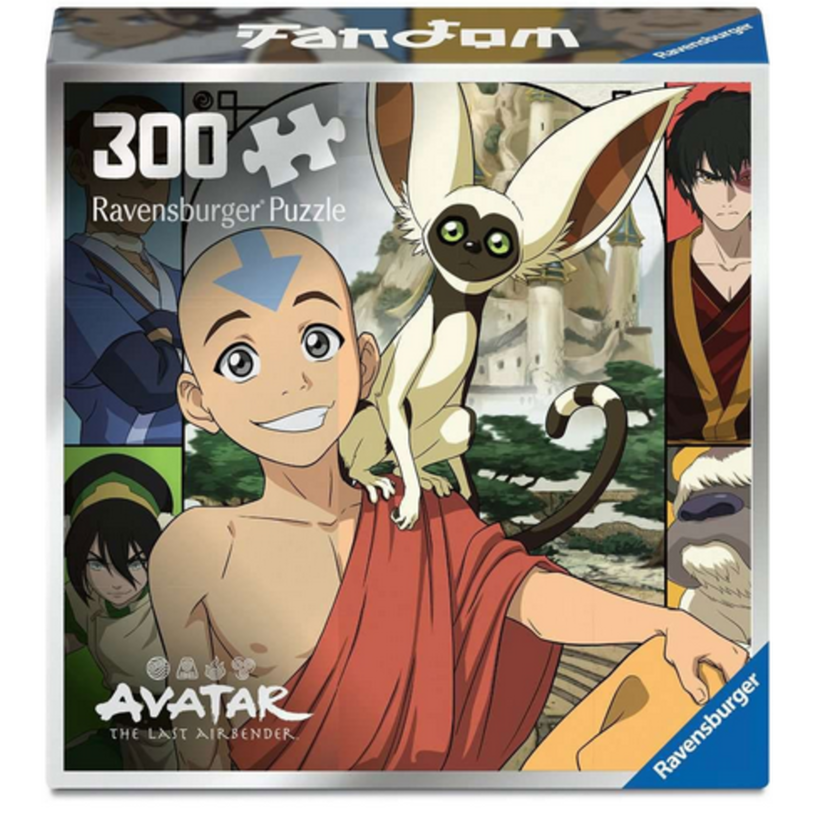 Avatar The Last Airbender 300 Piece Puzzle