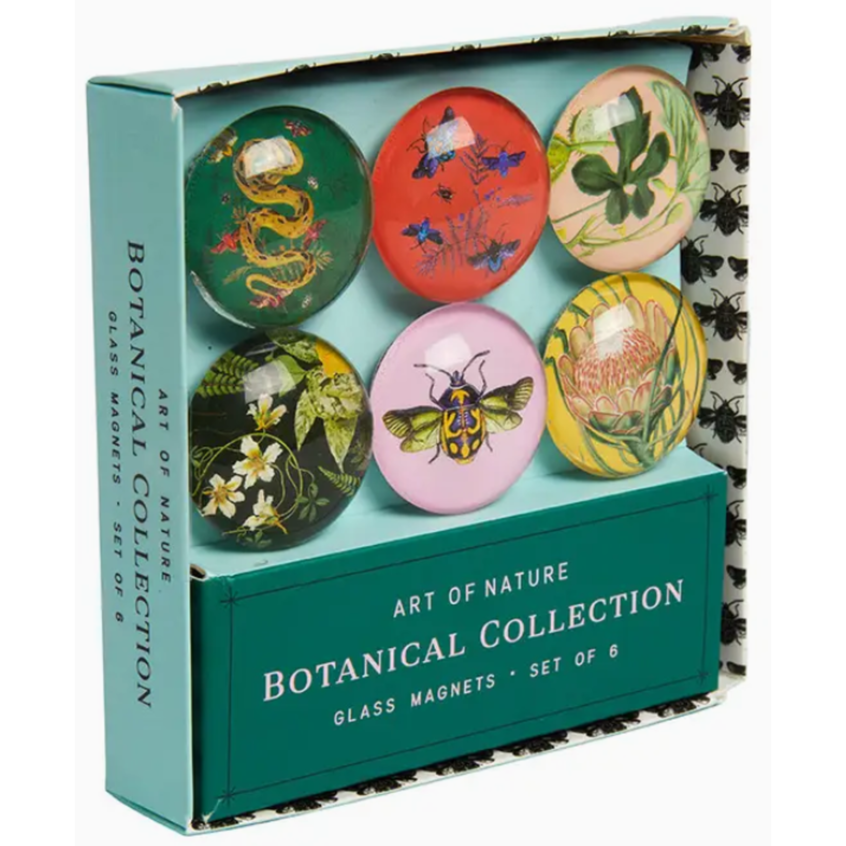 Magnets - Art of Nature - Botanical Glass Magnet Set