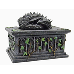 Curio Box - Dragon