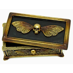 Curio Box - Skull Moth