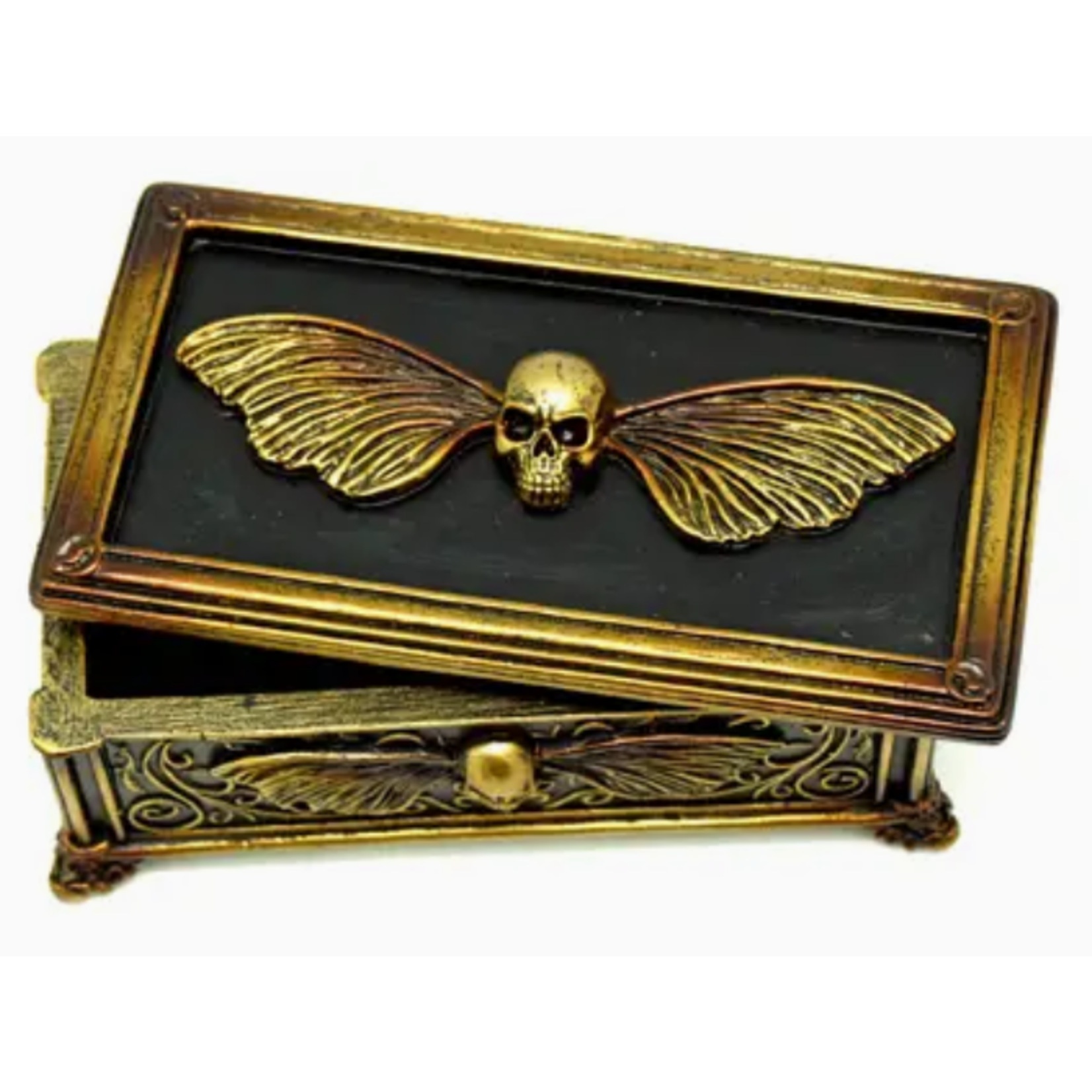 Curio Box - Skull Moth