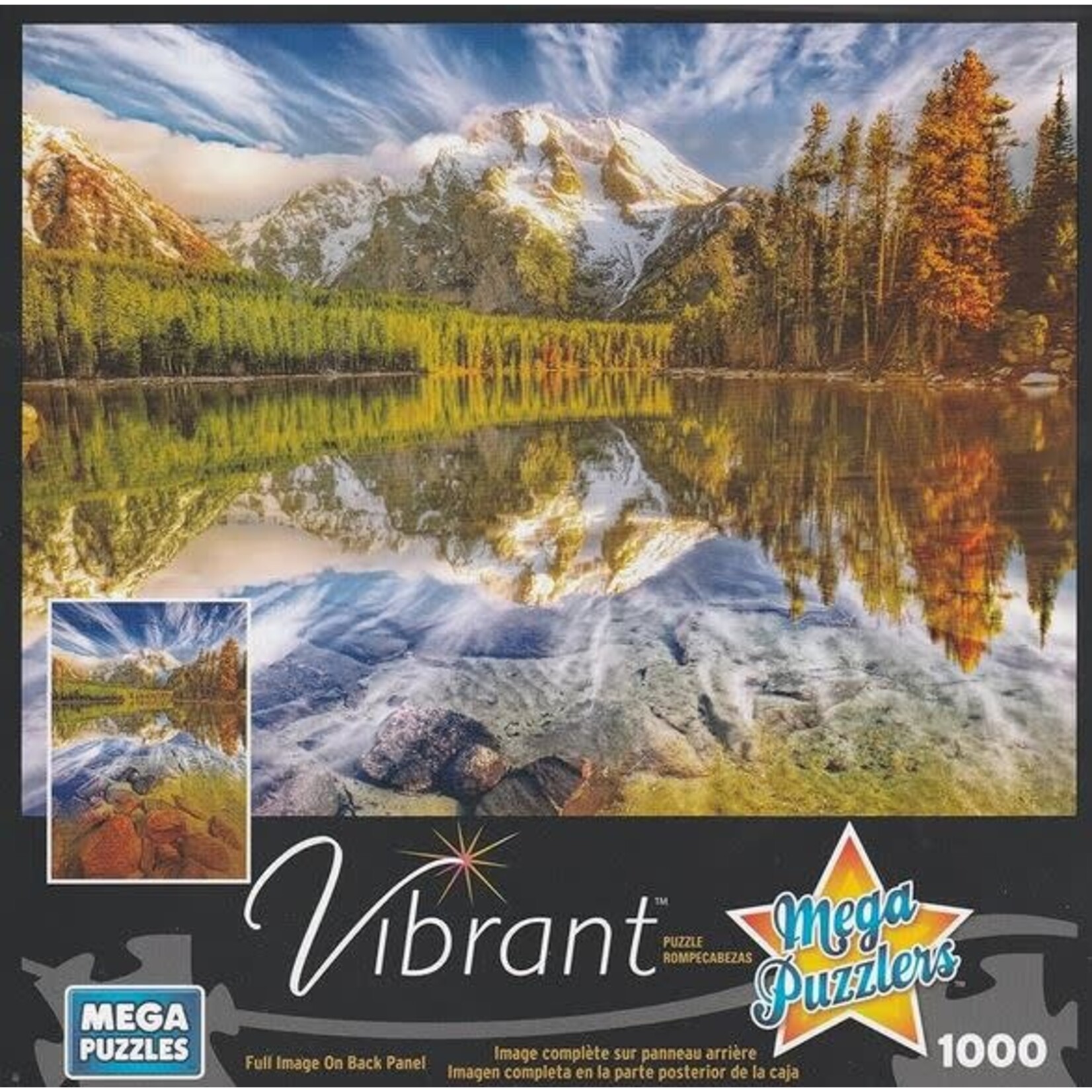 #11706 Leigh Lake Reflections Puzzle Dragon Cache Used Game