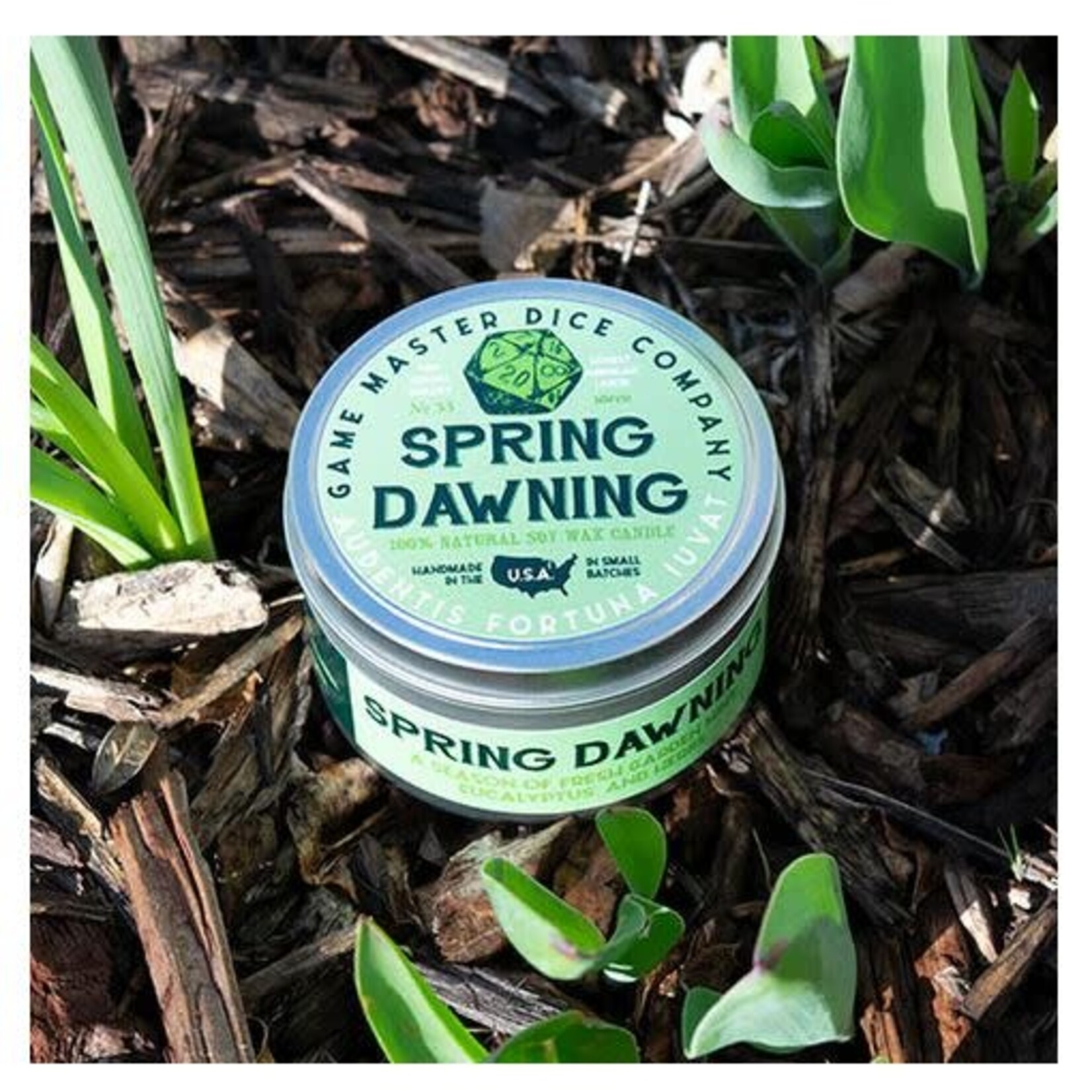 Candle - GMD - Spring Dawning - 8oz Tin