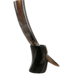 Viking Drinking Horn with Stand