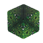 Fun In Motion Toys Shashibo: Forest