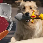 Pet Toys