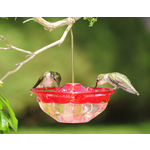 HummBlossom 4oz Feeder Rose Color