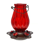 Hummingbird Feeder - Ruby Lantern Glass
