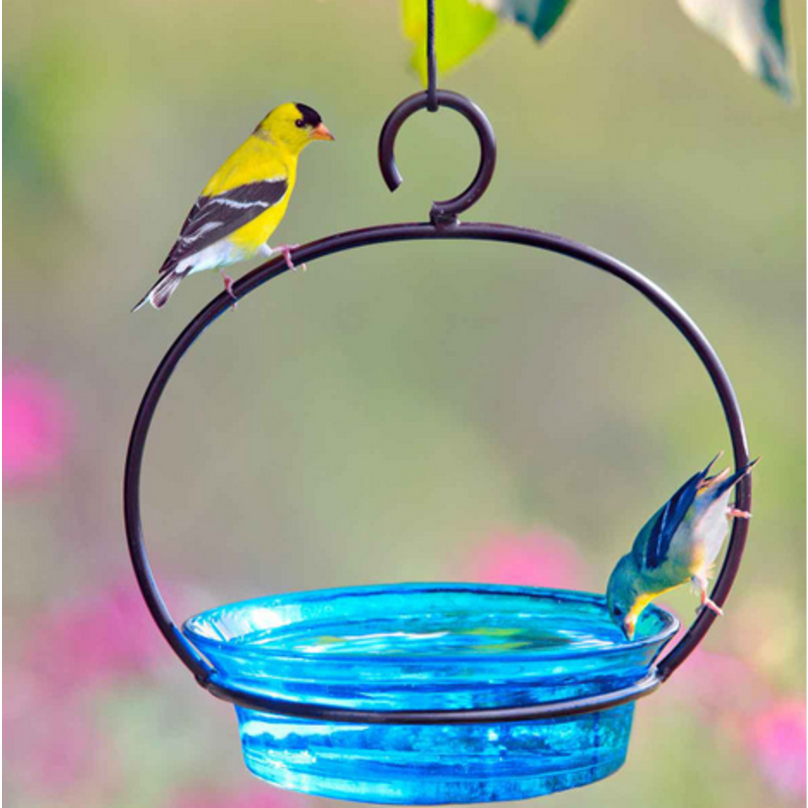 Cuban Bowl Hanging Bird Bath or Feeder - Blue