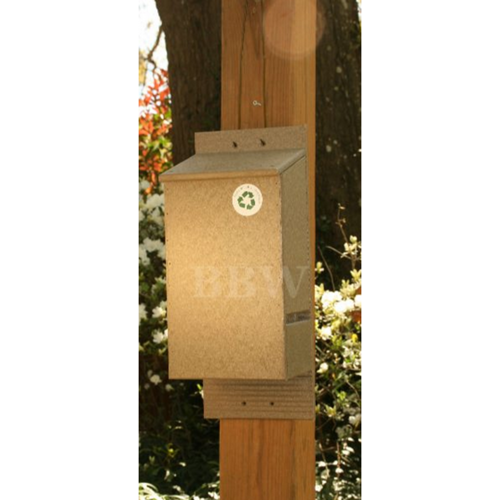 Bat House Driftwood