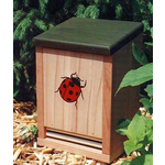Ladybug House