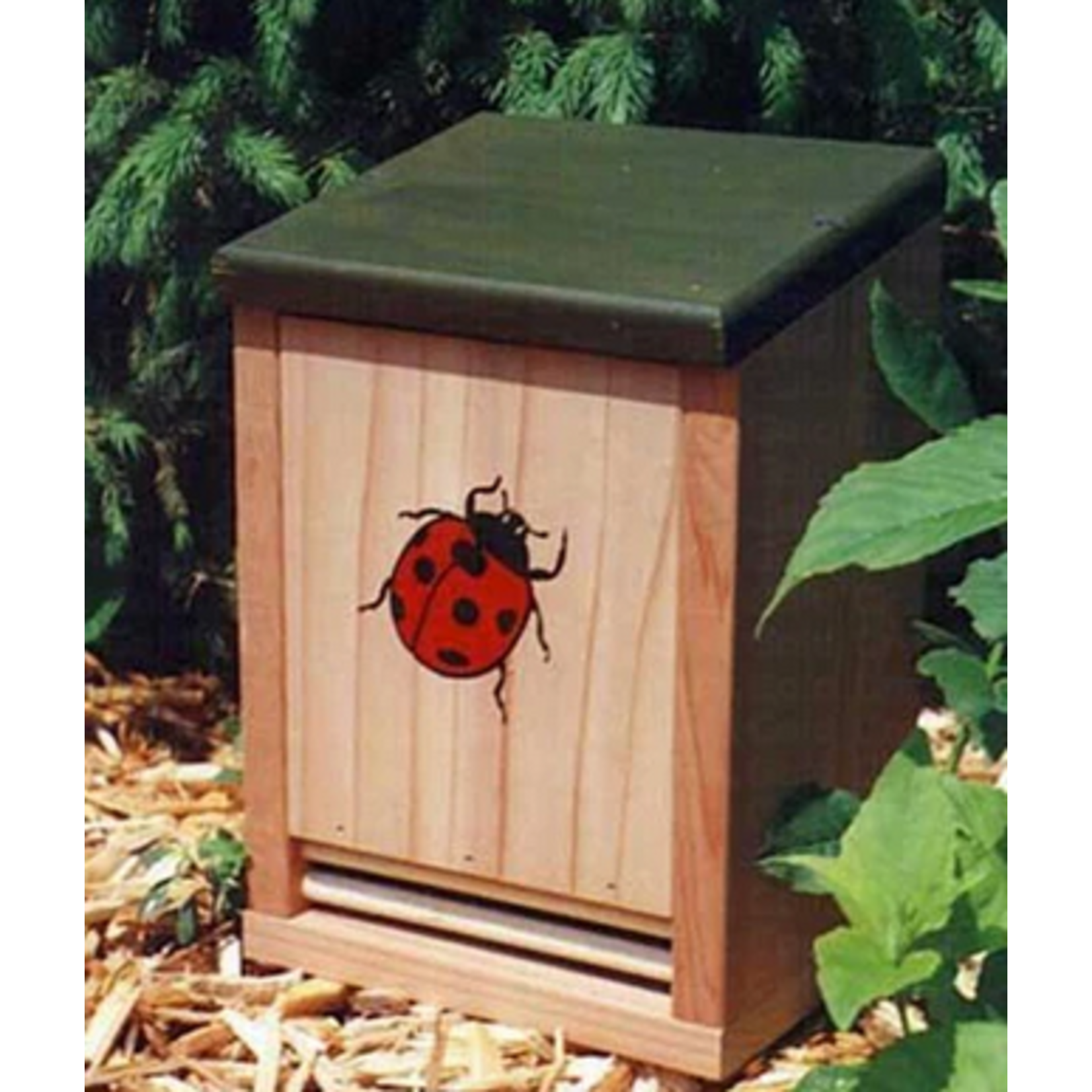 Ladybug House