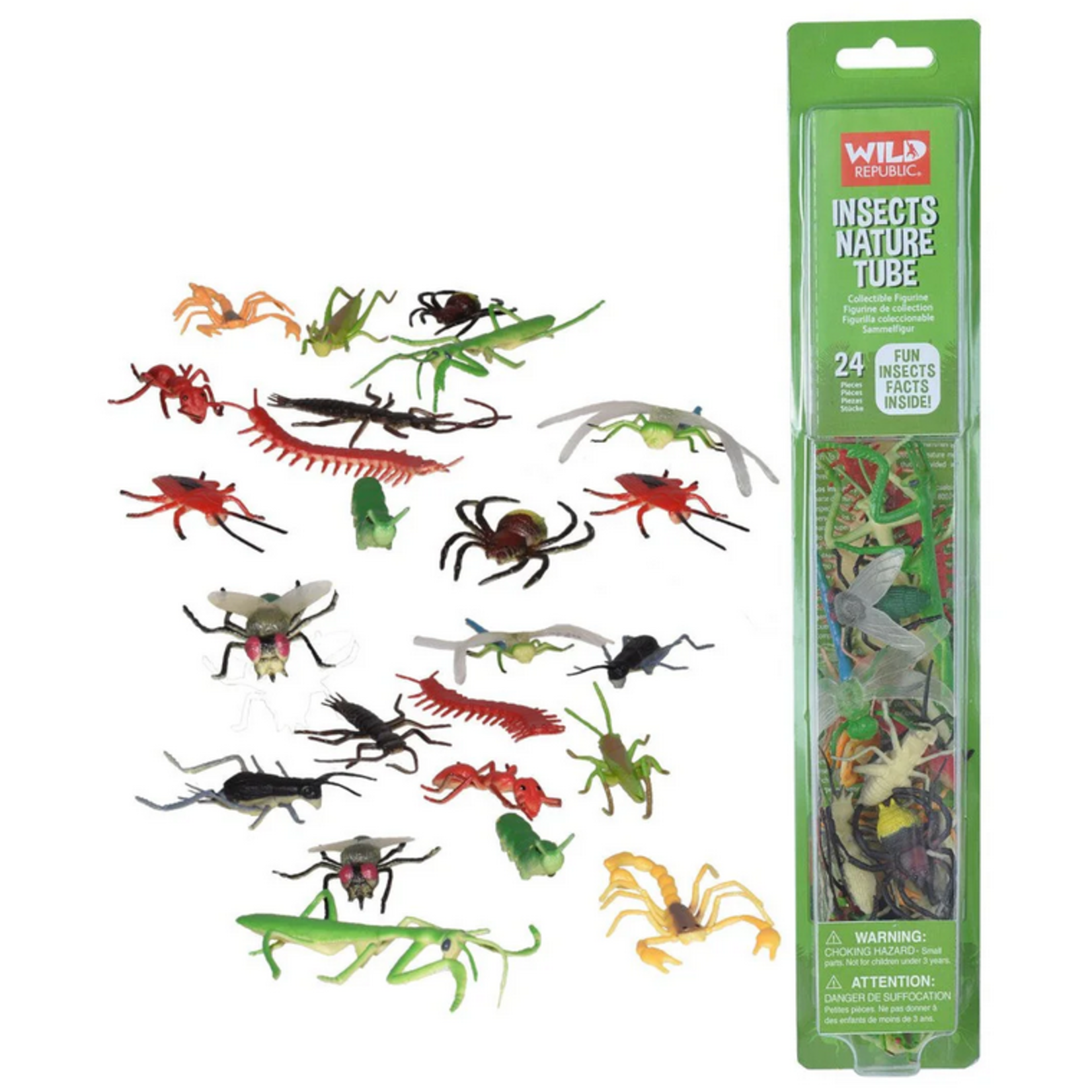 Nature Tube Insect