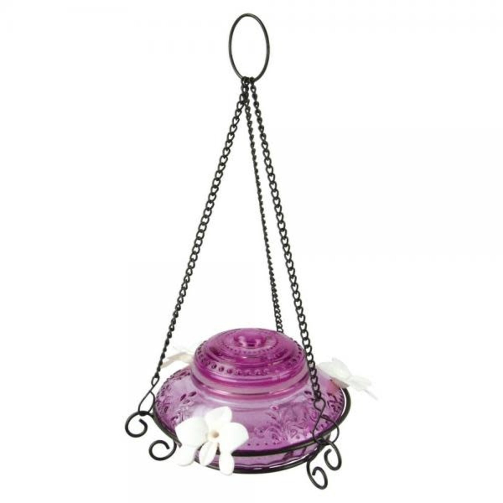Antique Top Glass Hummingbird Feeder - Purple - 14oz
