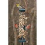 Seed Tube Medium Spruce Quick Clean Base