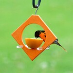 Diamond Oriole Feeder
