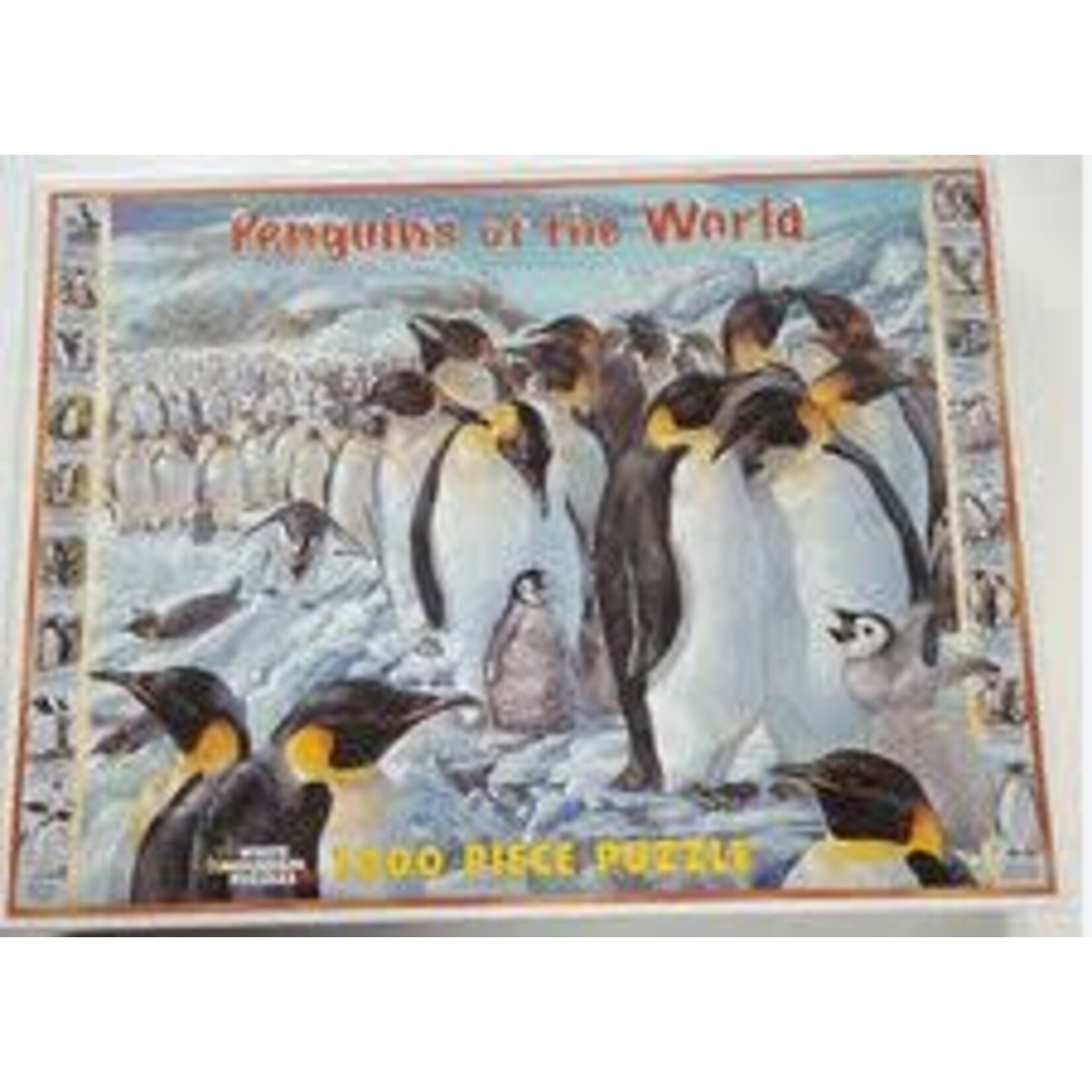 #11506 Penguins of the World 1000 Piece Puzzle Dragon Cache Used Game