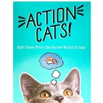 #11504 Action Cats! Dragon Cache Used Game