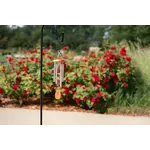Chime - Amazing Grace Small