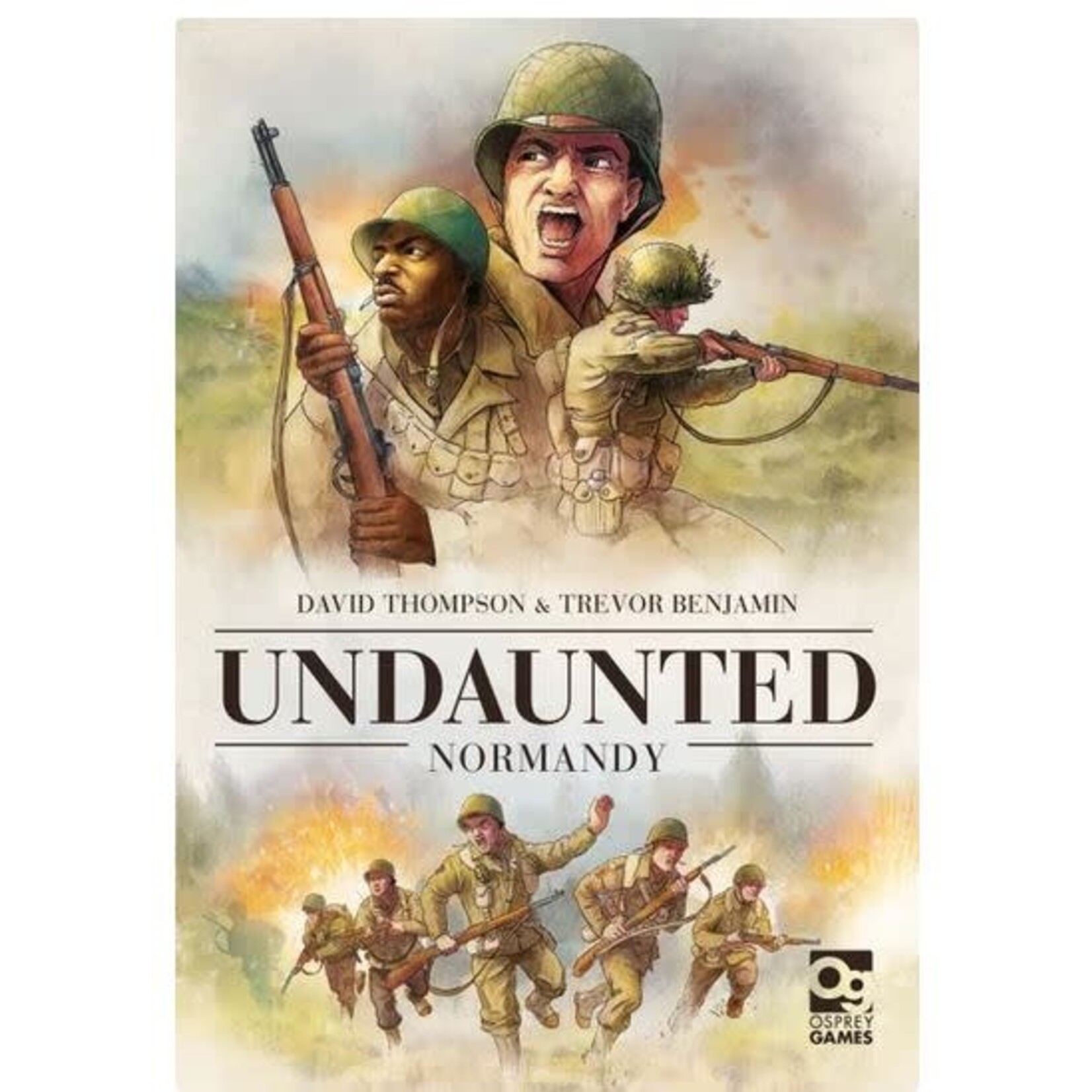 #11444 Undaunted: Normandy Dragon Cache Used Game