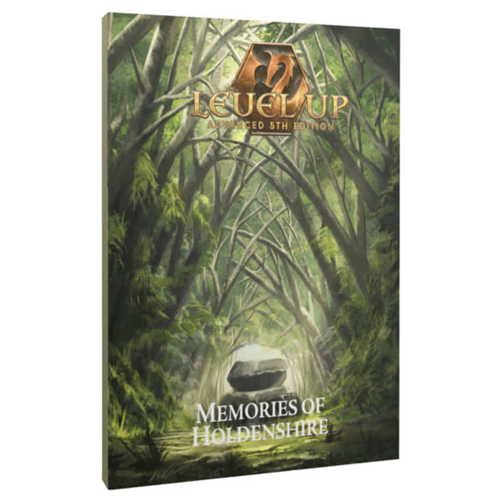 Level Up Advanced 5E RPG: Memories of Holdenshire