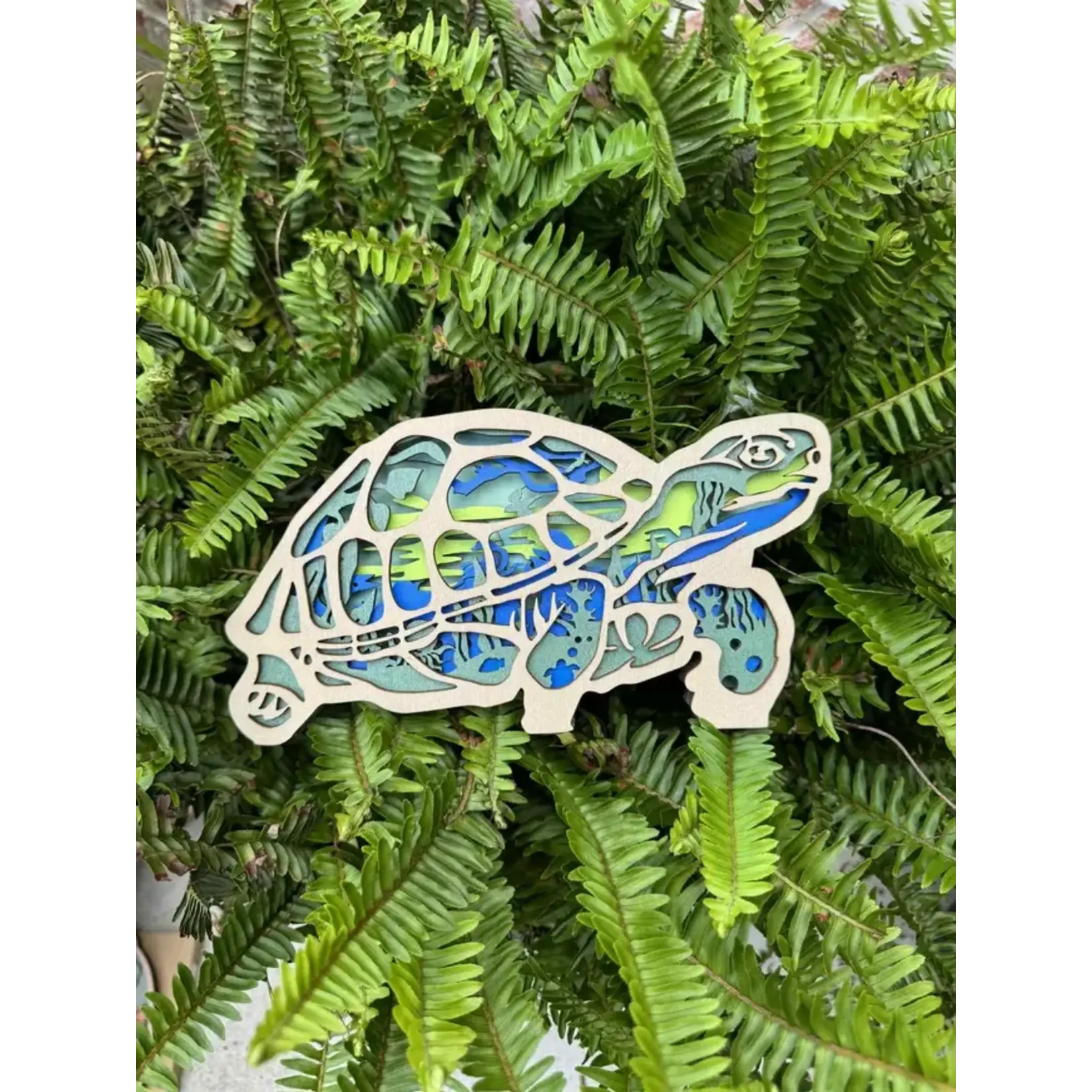Shelf Sitter - Tortoise