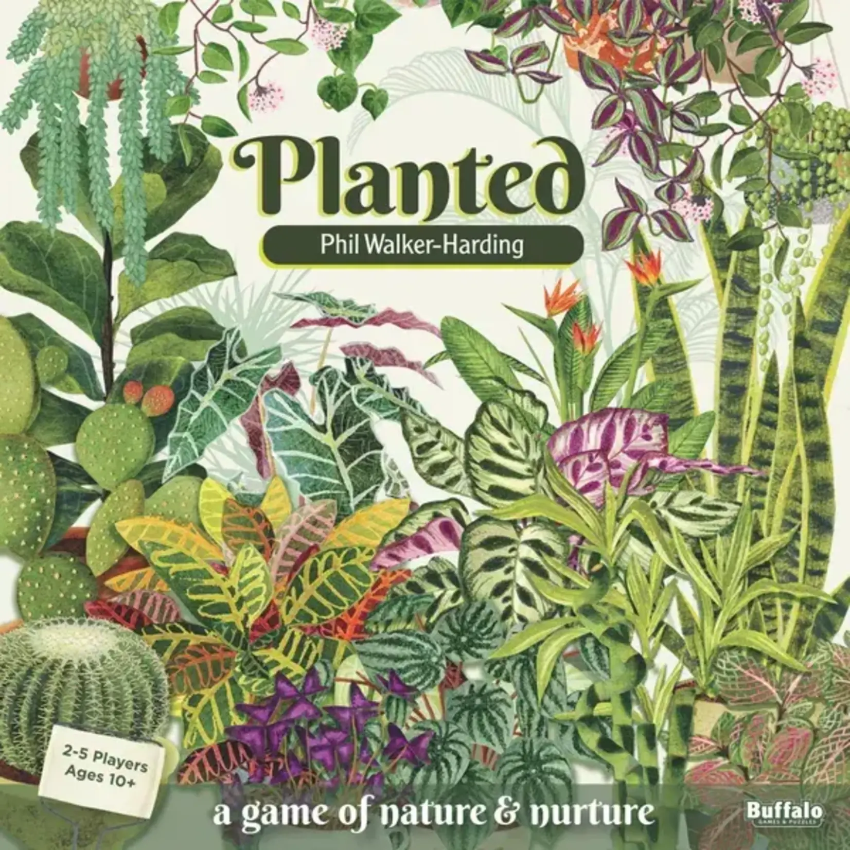 #11396 Planted Dragon Cache Used Game