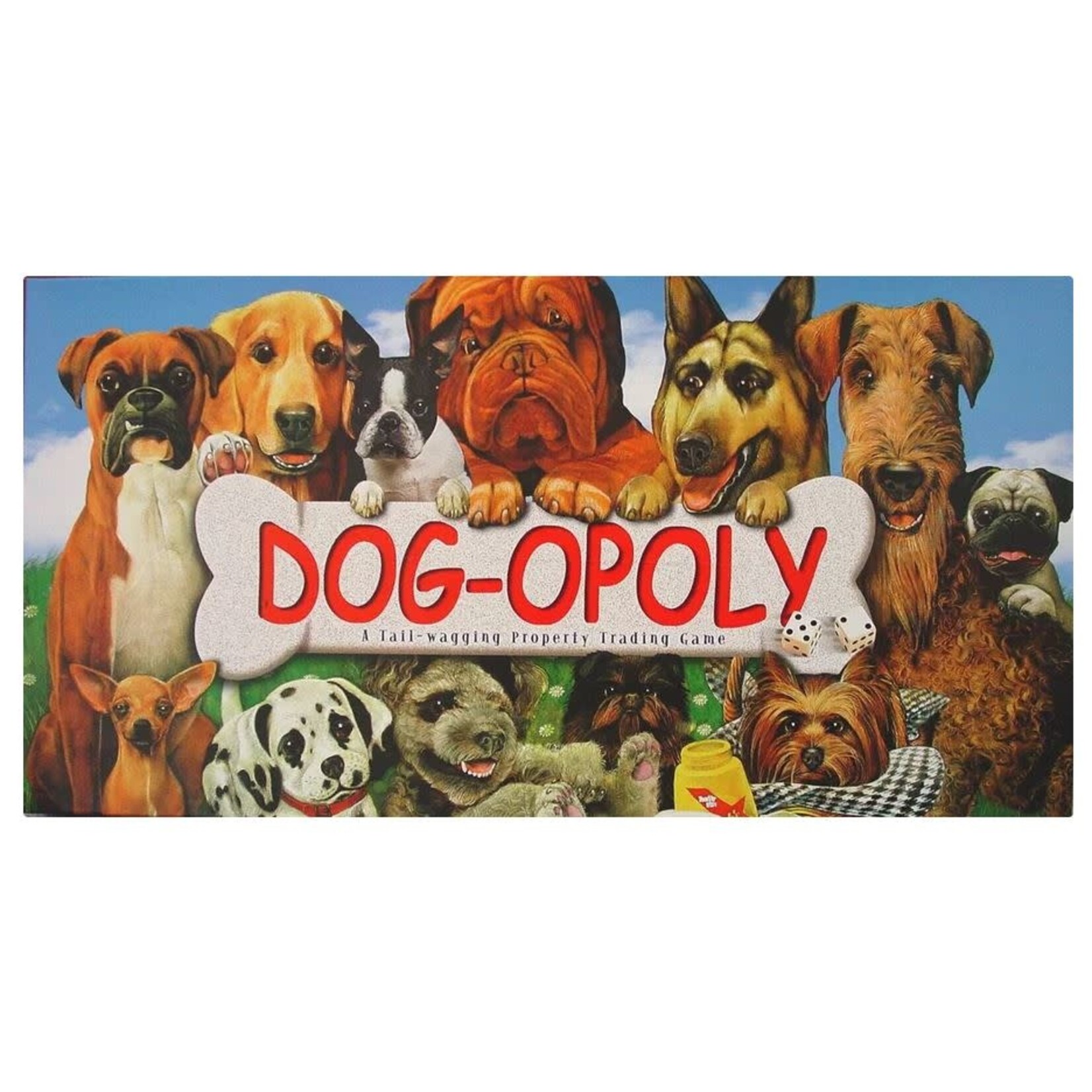 #11386 Dog-Opoly Dragon Cache Used Game
