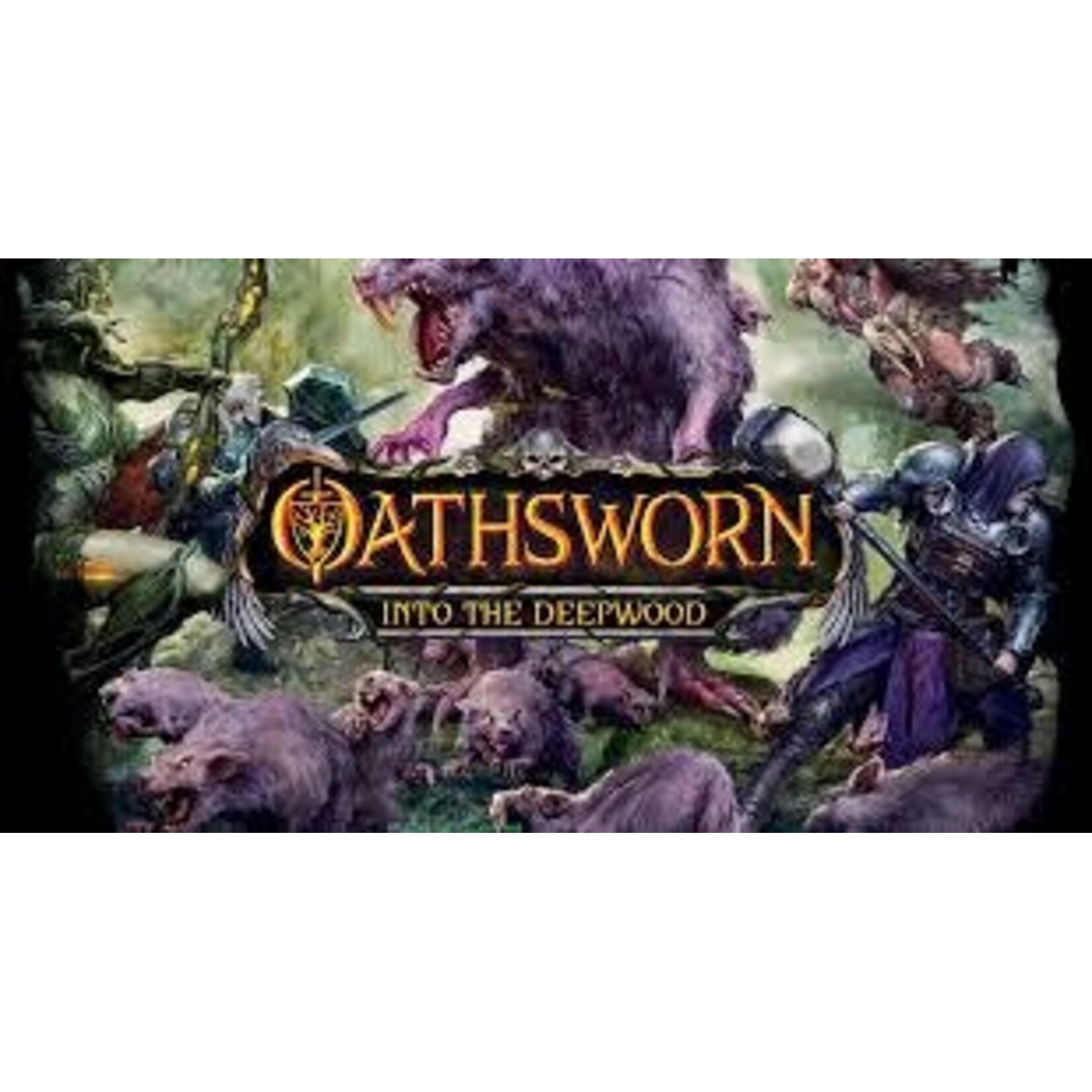 #11346 Oathsworn: Into The Deepwood Dragon Cache Used Games