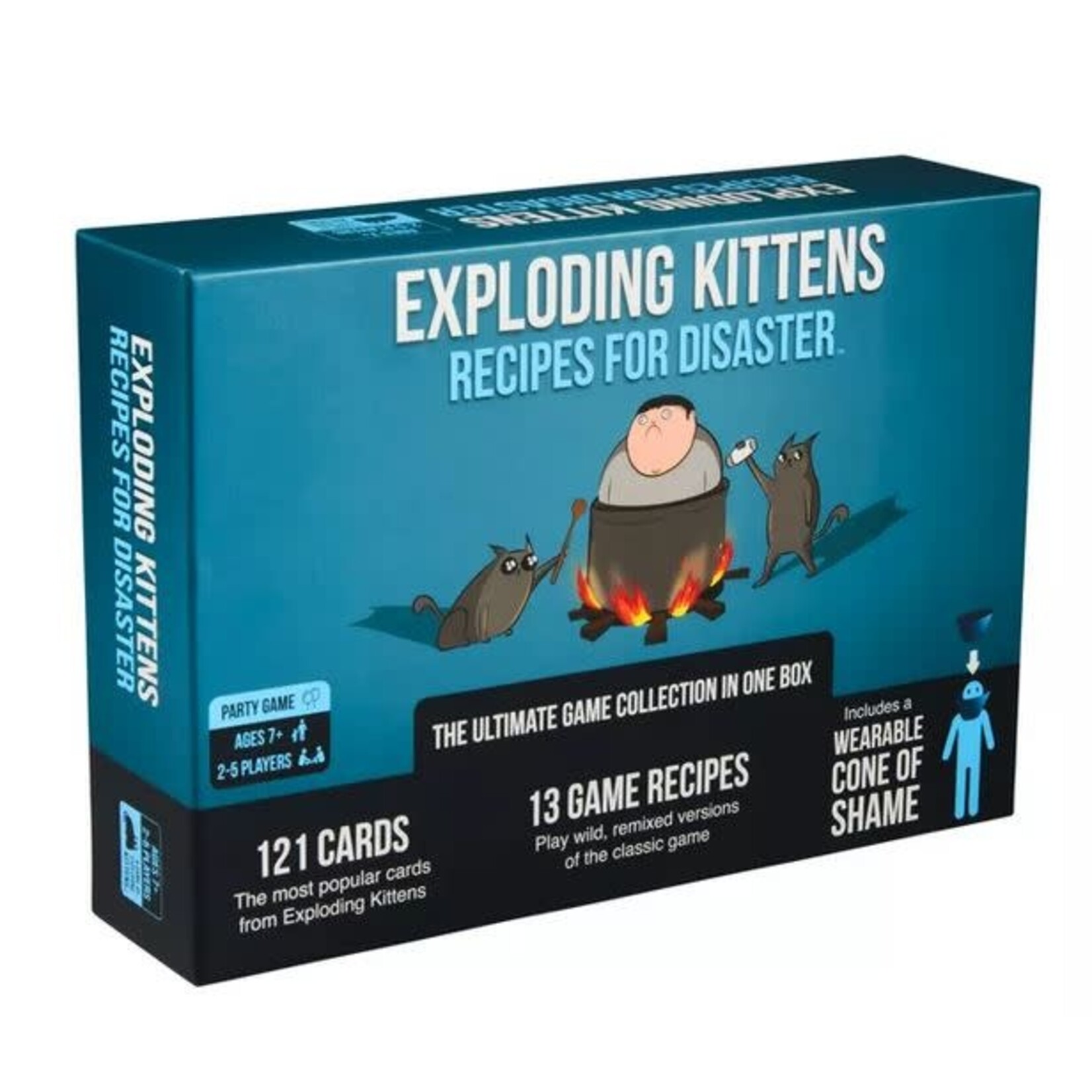 #11328 Exploding Kittens: Recipes for Disaster Dragon Cache Used Game