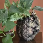 Modern Wood Cases Planter - Dragon Egg  with Perched Dragon - 4 inch opening with Drainage Holes
