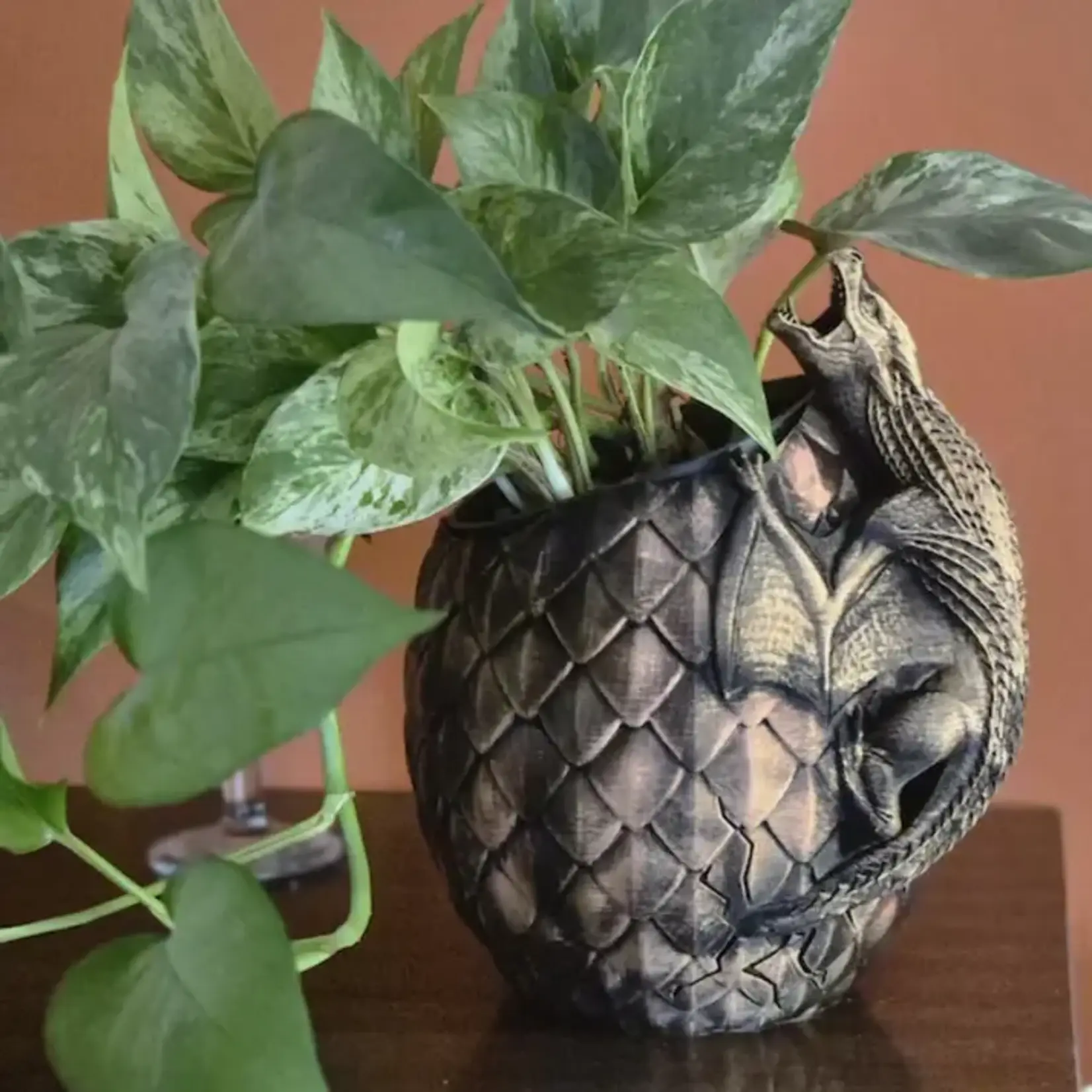 Modern Wood Cases Planter - Dragon Egg  with Perched Dragon - 4 inch opening with Drainage Holes