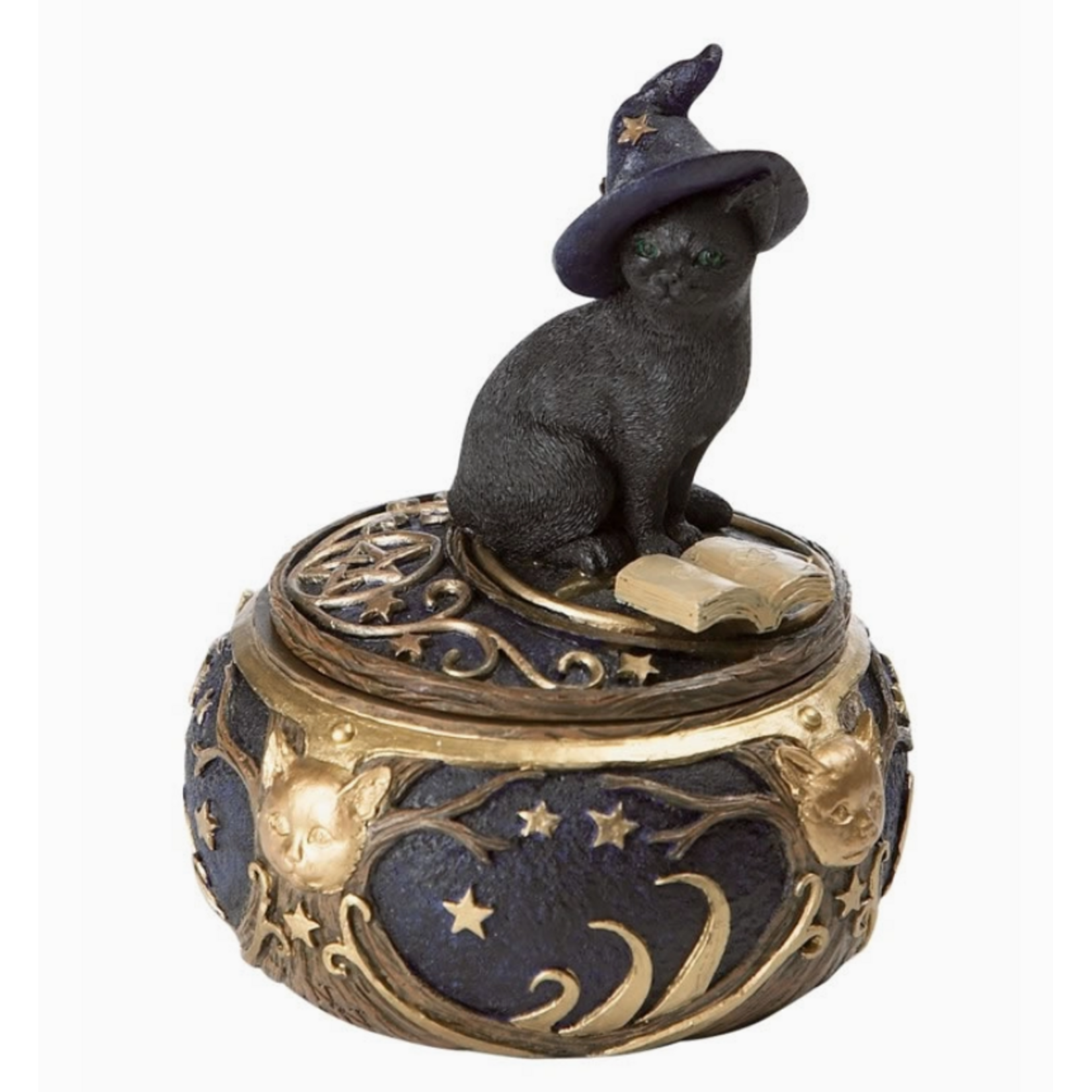 Curio Box - Magical Cat