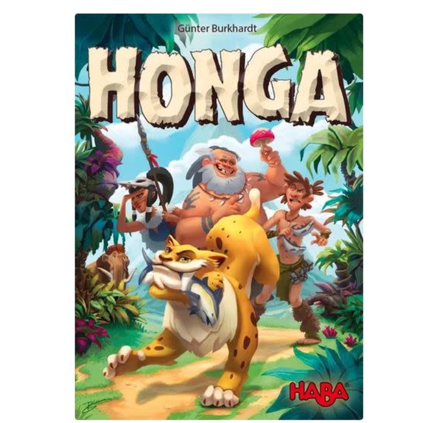 #11255 Honga Dragon Cache Used Game