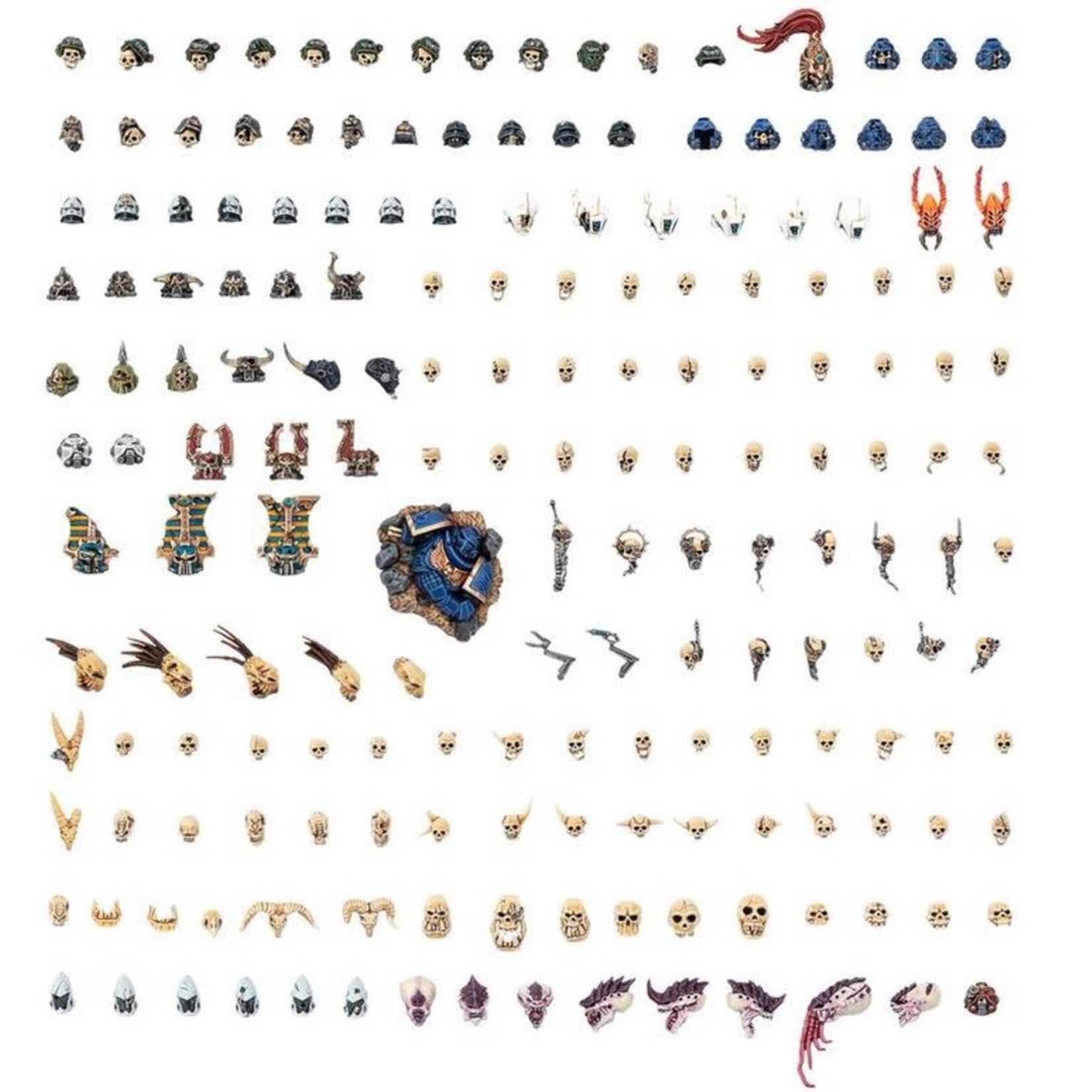 40K: Battlefield Trophies